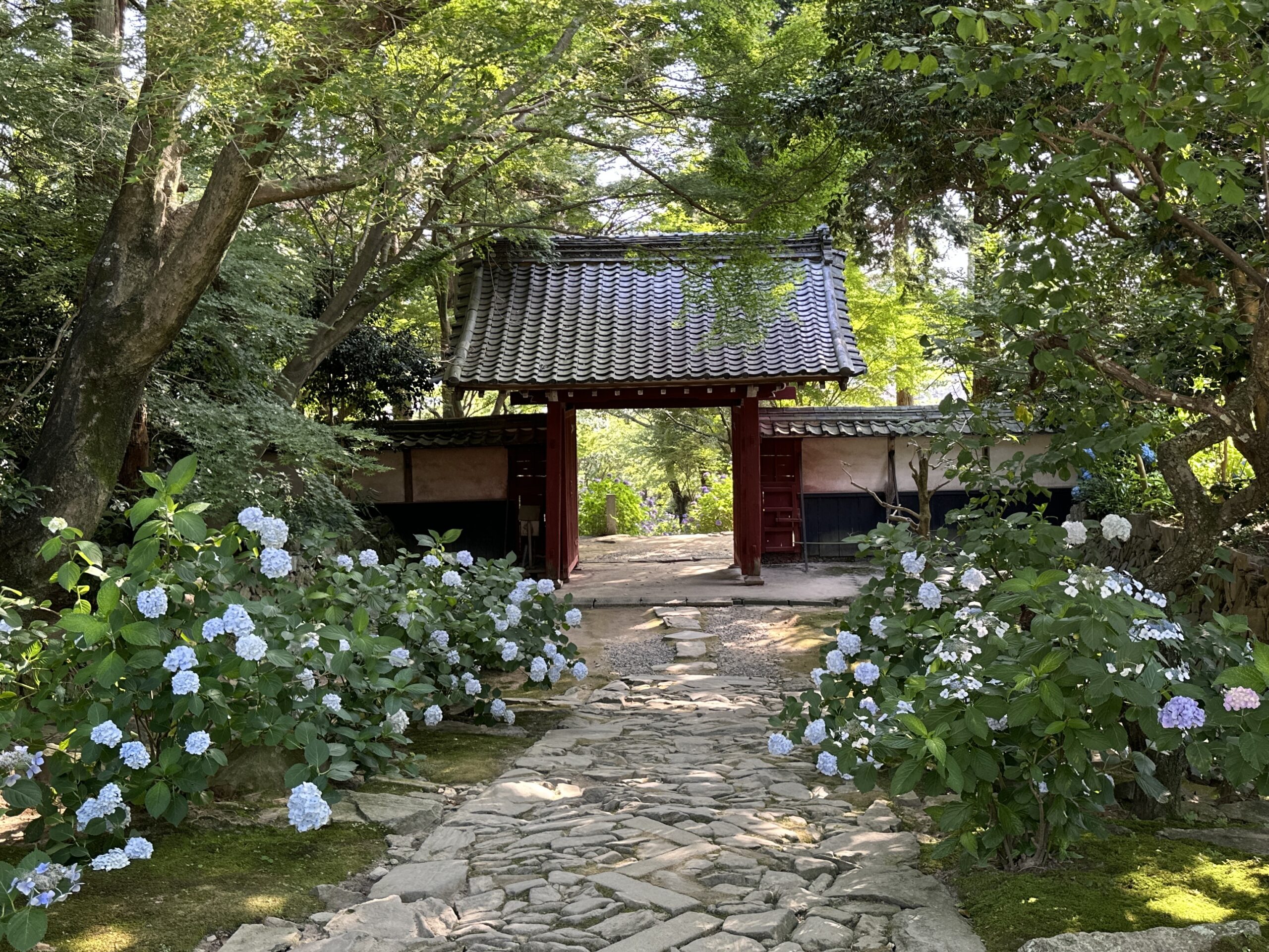 本光寺・山門裏